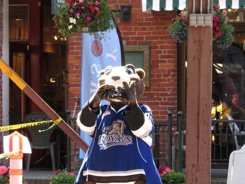 Marty the Marmot the mascot for the Royals loves Segways! Sadly his feet are too big so he can only watch and take pictures