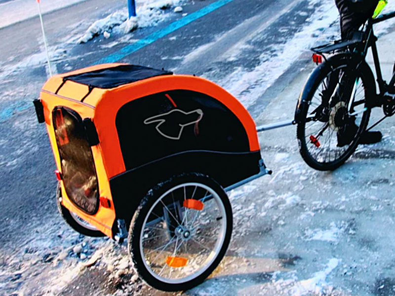 doggo bike in the snow