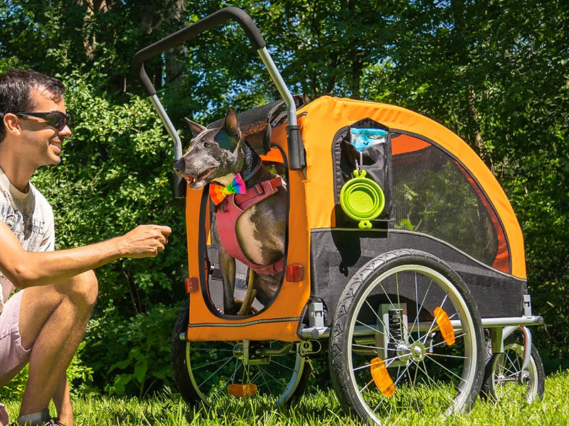 Doggo bike stroller adaption