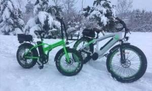 The 500 XT and Spirit Bear enjoying a ride in the snow